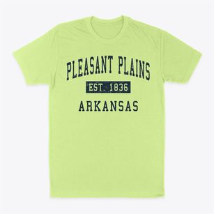 Pleasant Plains Arkansas Classic Established Classic Dad T-Shirt