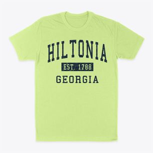 Hiltonia Georgia Classic Established Classic Dad T-Shirt