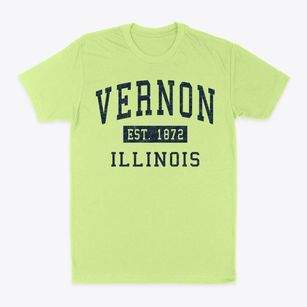 Vernon Illinois Classic Established Classic Dad T-Shirt