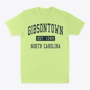 Gibsontown North Carolina Classic Established Classic Dad T-Shirt