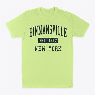Hinmansville New York Classic Established Classic Dad T-Shirt