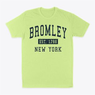 Bromley New York Classic Established Classic Dad T-Shirt