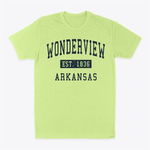 Wonderview Arkansas Classic Established Classic Dad T-Shirt