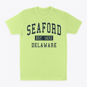 Seaford Delaware Classic Established Classic Dad T-Shirt