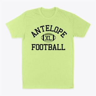 Antelope High School Classic Football Classic Dad T-Shirt