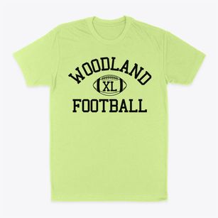 Woodland Health & Wellness Magnet School Classic Football Classic Dad T-Shirt