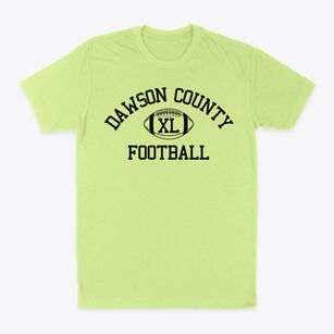 Dawson County District 22 School Classic Football Classic Dad T-Shirt