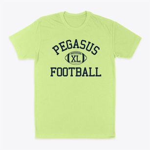 Pegasus Charter School Classic Football Classic Dad T-Shirt
