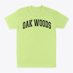 Oak Woods School Varsity Arch Classic Dad T-Shirt