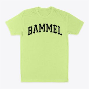 Bammel Elementary School Varsity Arch Classic Dad T-Shirt