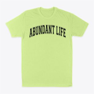 Abundant Life Academy Varsity Arch Classic Dad T-Shirt