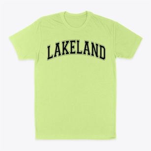 Lakeland Elementary School Varsity Arch Classic Dad T-Shirt