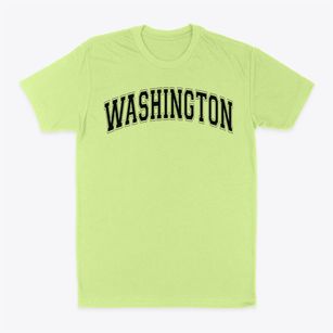 Washington Elementary School Varsity Arch Classic Dad T-Shirt