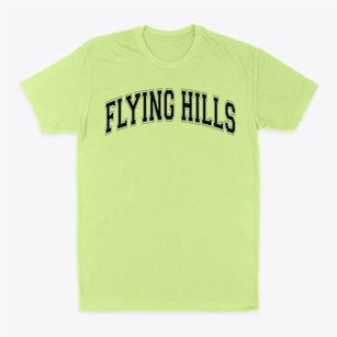 Flying Hills Elementary School Varsity Arch Classic Dad T-Shirt