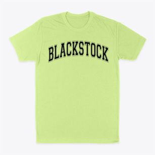 Blackstock Junior High School Varsity Arch Classic Dad T-Shirt