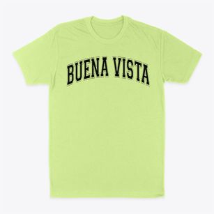 Buena Vista Opportunity School Varsity Arch Classic Dad T-Shirt