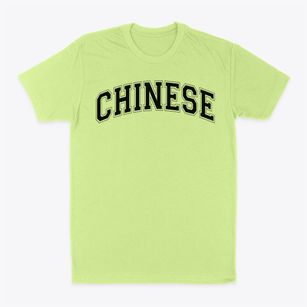 Chinese Education Center Varsity Arch Classic Dad T-Shirt