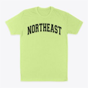 Northeast Elementary School Varsity Arch Classic Dad T-Shirt