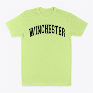 Winchester Alternative High School Varsity Arch Classic Dad T-Shirt