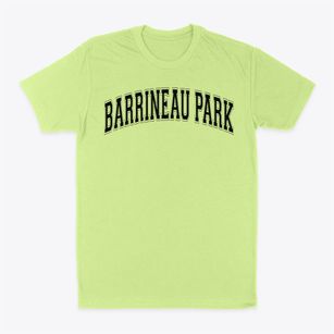 Barrineau Park Elementary School Varsity Arch Classic Dad T-Shirt