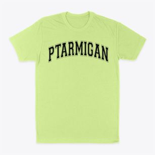 Ptarmigan Elementary School Varsity Arch Classic Dad T-Shirt