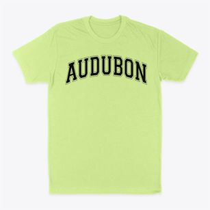 Audubon Elementary School Varsity Arch Classic Dad T-Shirt