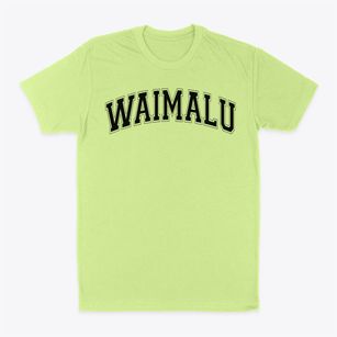Waimalu Elementary School Varsity Arch Classic Dad T-Shirt