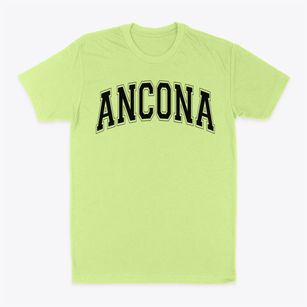 Ancona School Varsity Arch Classic Dad T-Shirt