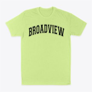 Broadview Elementary School Varsity Arch Classic Dad T-Shirt