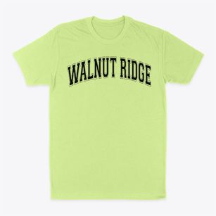 Walnut Ridge Baptist Academy Varsity Arch Classic Dad T-Shirt