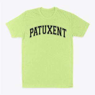 Patuxent Elementary School Varsity Arch Classic Dad T-Shirt