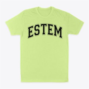 Estem High School Varsity Arch Classic Dad T-Shirt