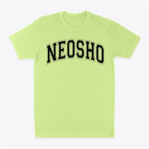 Neosho Junior High School Varsity Arch Classic Dad T-Shirt