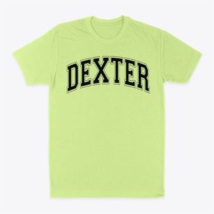 Dexter High School Varsity Arch Classic Dad T-Shirt