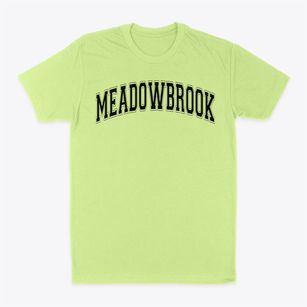 Meadowbrook Elementary School Varsity Arch Classic Dad T-Shirt