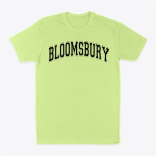 Bloomsbury Elementary School Varsity Arch Classic Dad T-Shirt