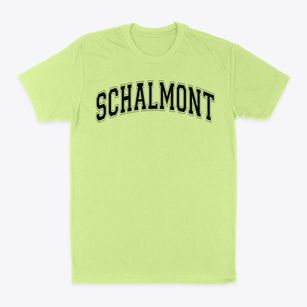 Schalmont Middle School Varsity Arch Classic Dad T-Shirt