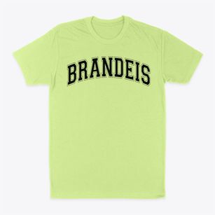 Brandeis High School Varsity Arch Classic Dad T-Shirt