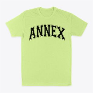 Ps 279 Annex Varsity Arch Classic Dad T-Shirt