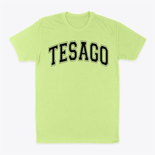 Tesago Elementary School Varsity Arch Classic Dad T-Shirt