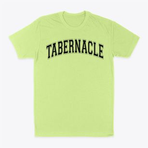 Tabernacle Christian Academy Varsity Arch Classic Dad T-Shirt