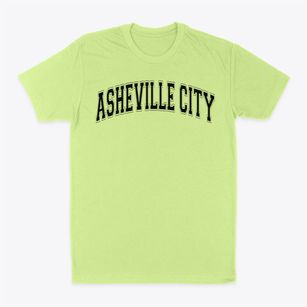 Asheville City School Preschool Varsity Arch Classic Dad T-Shirt