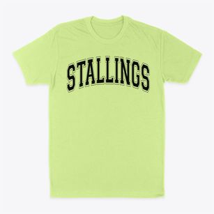Stallings Elementary School Varsity Arch Classic Dad T-Shirt