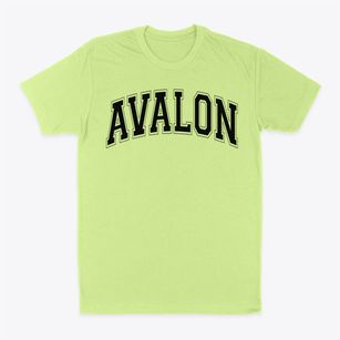 Avalon Elementary School Varsity Arch Classic Dad T-Shirt