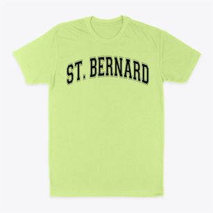 Saint Bernard-elmwood Place High School Varsity Arch Classic Dad T-Shirt