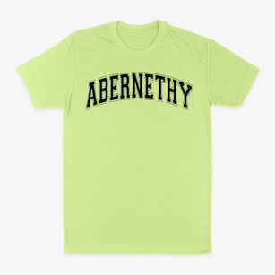 Abernethy Elementary School Varsity Arch Classic Dad T-Shirt