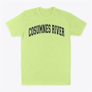 Cosumnes River Elementary School Varsity Arch Classic Dad T-Shirt