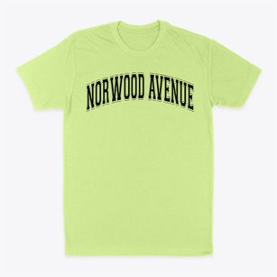 Norwood Avenue Elementary School Varsity Arch Classic Dad T-Shirt
