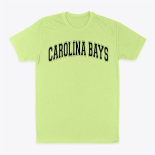 Carolina Bays Academy Varsity Arch Classic Dad T-Shirt