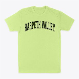Harpeth Valley Elementary School Varsity Arch Classic Dad T-Shirt